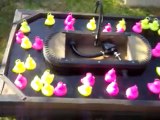 Mini Pêche aux Canads pour vos Fêtes.