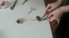 disectie completa pe ochi de vita