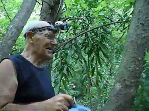 Film-dikili nebiler köyü