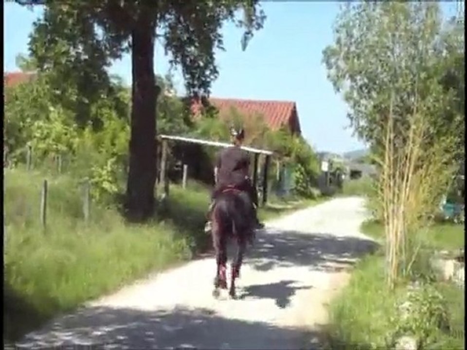 Olten trot 23 24 mai