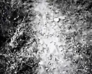 Valefor - Lifes Belongs to Darkness