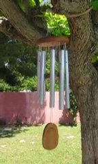 Carillon ♪♫♪♪..