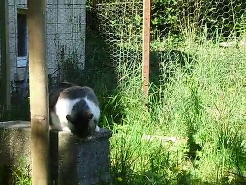 Alya fait la belle dans son parc