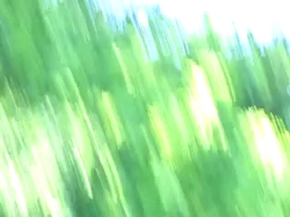 RAFALE passage lent meeting aeriende Cerny 2010