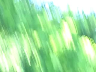 RAFALE passage lent meeting aeriende Cerny 2010