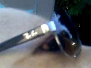 ray ban  ray ban paris france chien labrador tozesub