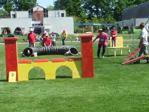 Baia agility 1 Trophée par équipe Limoges 2010