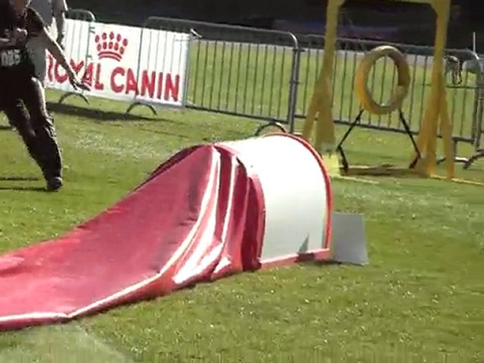 canapés kings agility 1