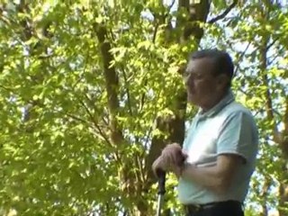 Promenons-nous dans les bois