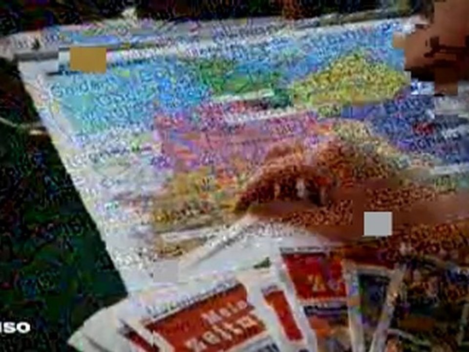 Meine zeitung - turgay yagan - betrüger