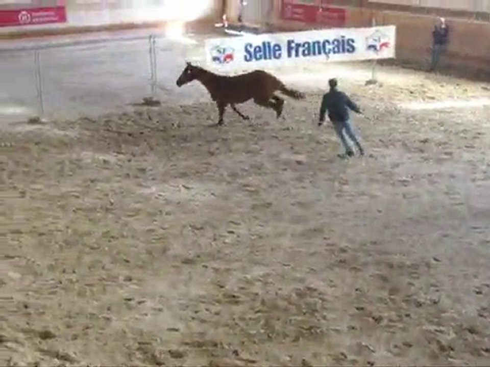 Présentation Rosières Tema 3