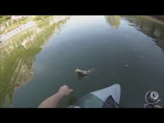 Perche float BESANCON