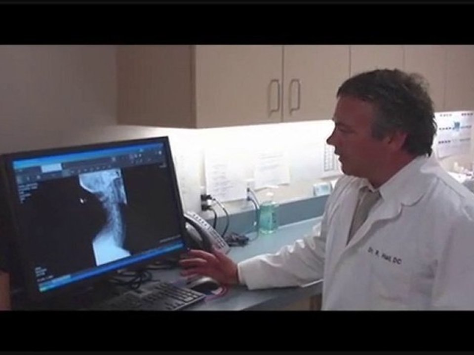 Santa Monica Chiropractor - Dr. Raymond Hall