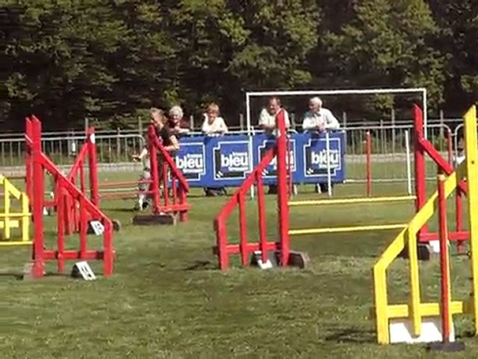 canapés kings jump 4