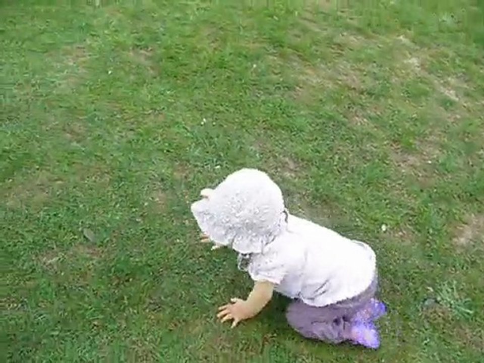 dans le parc