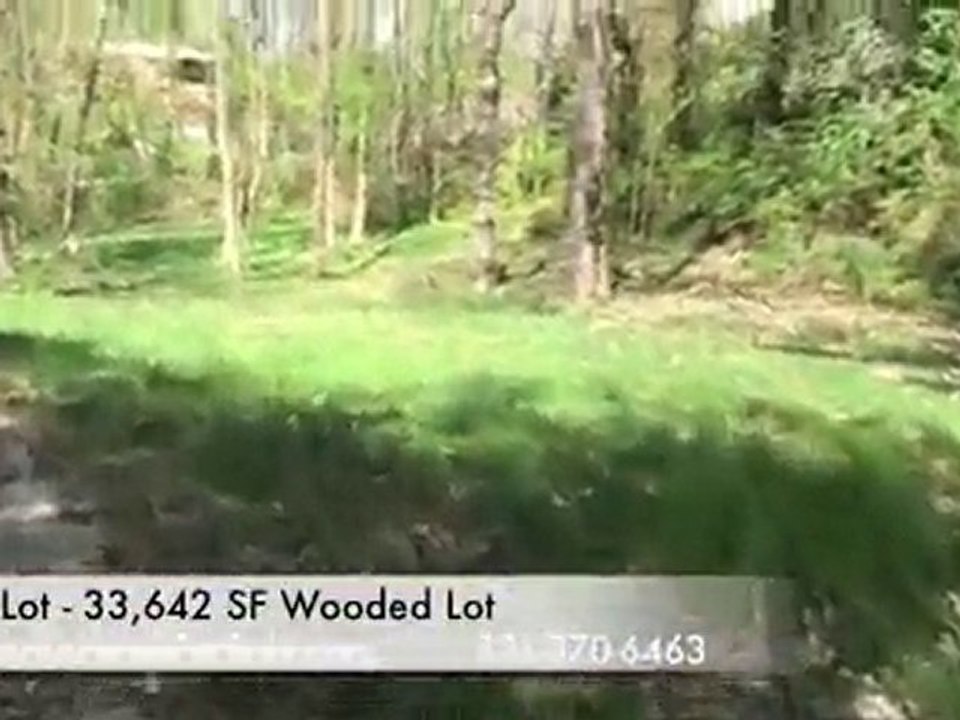 houses in Bethesda Md for SAle 33000sf wooded lot with NewH