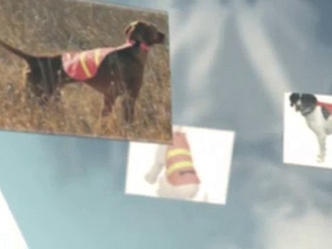 Large Coastal Remington Reflective Safety Vest