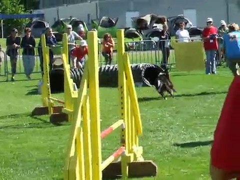 Tao agility 1 Trophée par équipe Limoges 2010