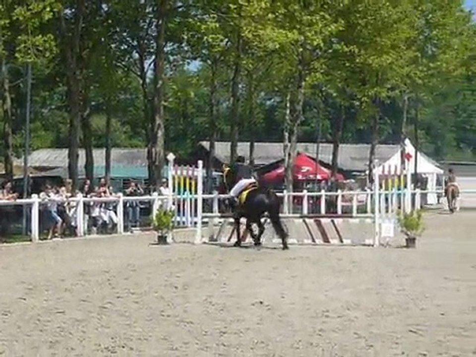 cso dachs 23mai 2010 C3