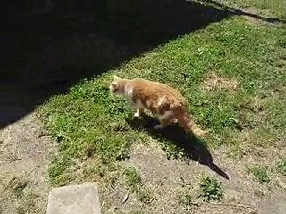 Marmelade en balade