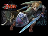 Zelda : Twilight Princess - 31 : La caverne de l'ordalie