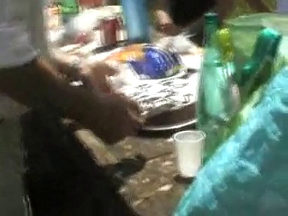 sortie LES ALPES samedi 22 mai 2010