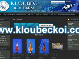 KLOUBEC KOI FARM