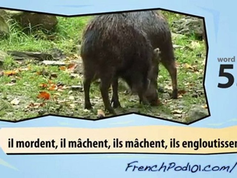 learn french-Learn with French jungle animals video
