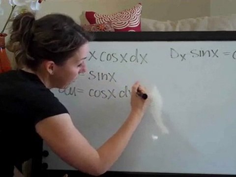 How to- Trigonometric Integrals Example 2