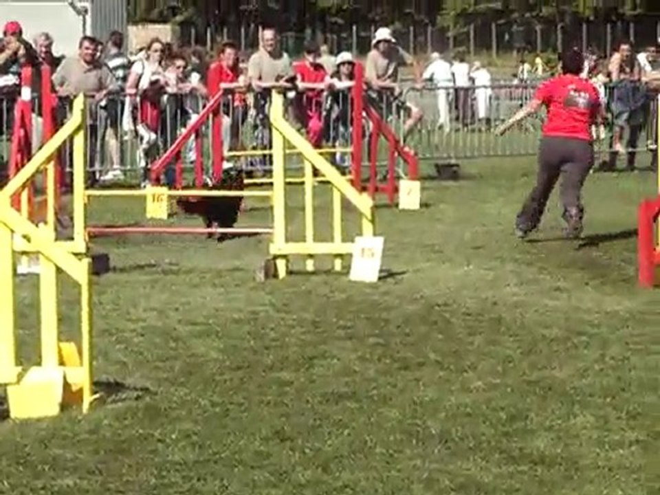 canapés kings jump b 4