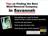 Savannah Mold Removal Company - Be Careful Hiring Bad Contr