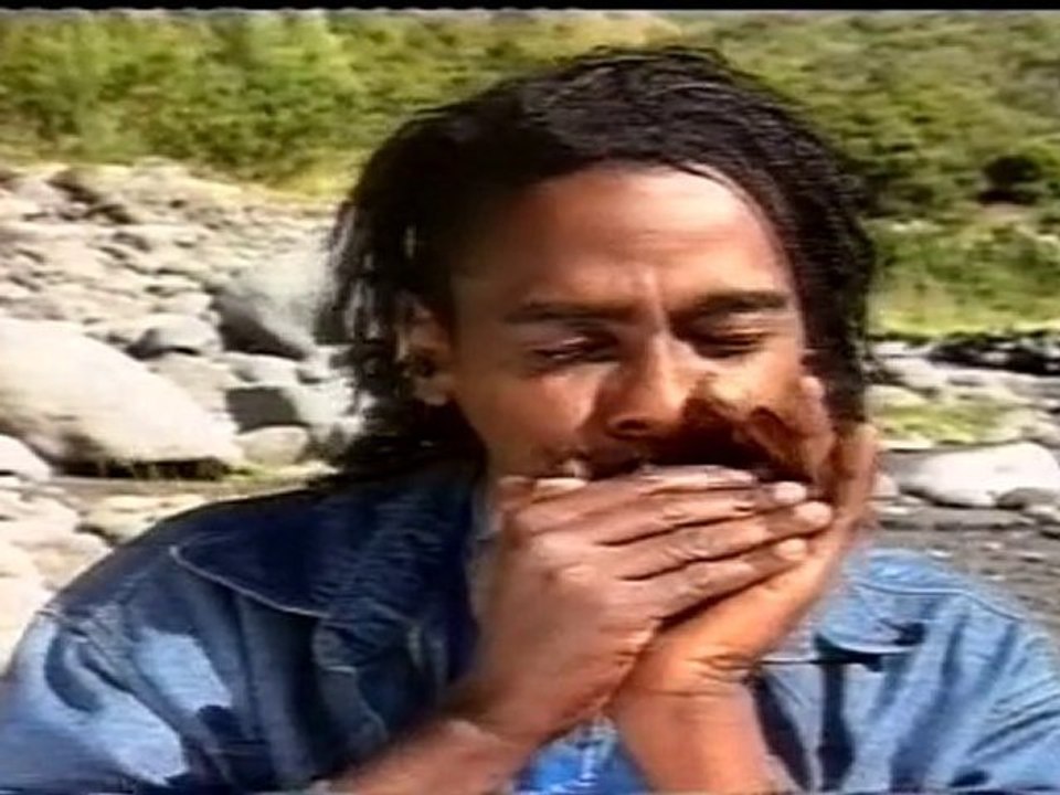 Cassya : Paquerette.