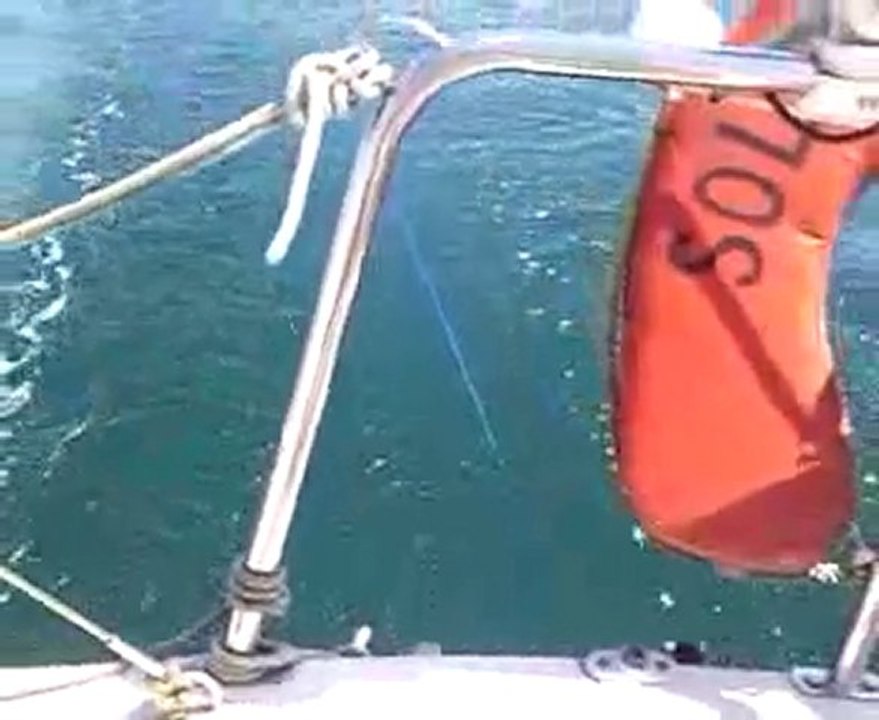 pétole