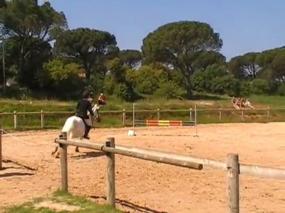 Hippique Pops Bertrands