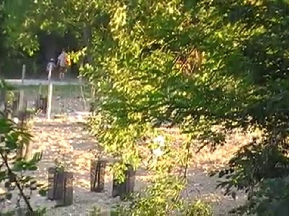 MOV00B