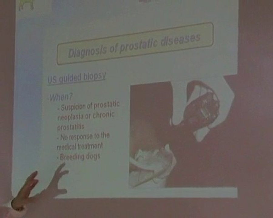 Prostatic diseases2