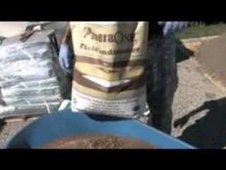 Long Island Tree Service Expert Demos Radial Trenching