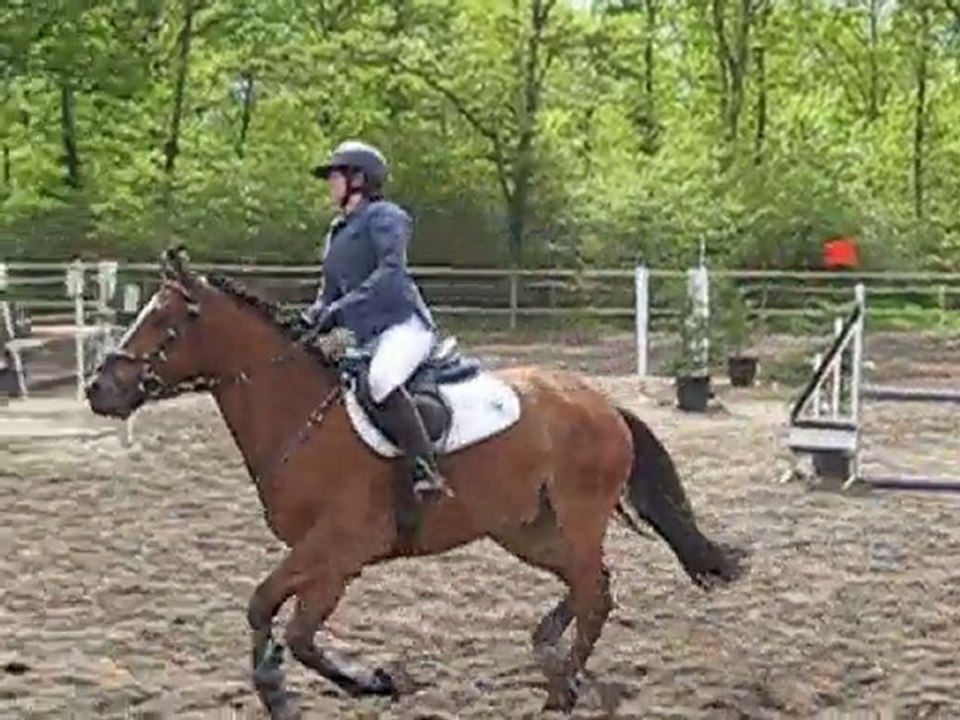 CSO POD3 Ligny-le-Ribault (Loiret) mai 2010