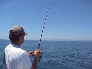 Pêche daurades à pentecôte