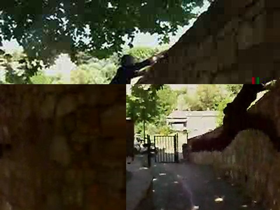 parkour&free running