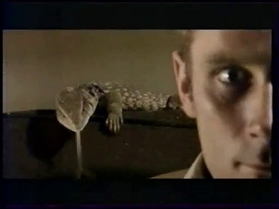 canalplus înter programme + clip3