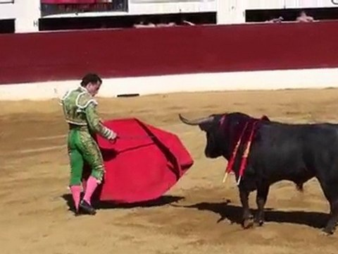 Corrida A Vic-Fezensac, 24 mai 2010 - Rafaelillo