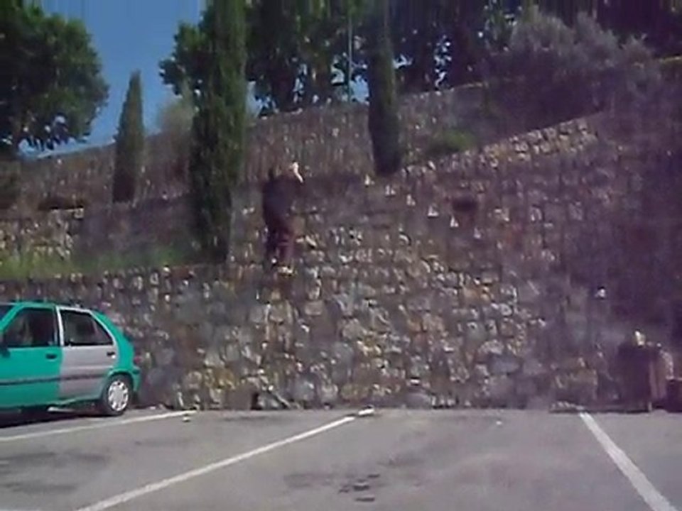 parkour&free running