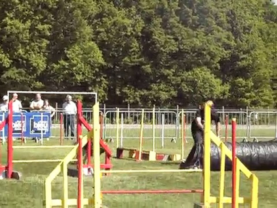 fun jump