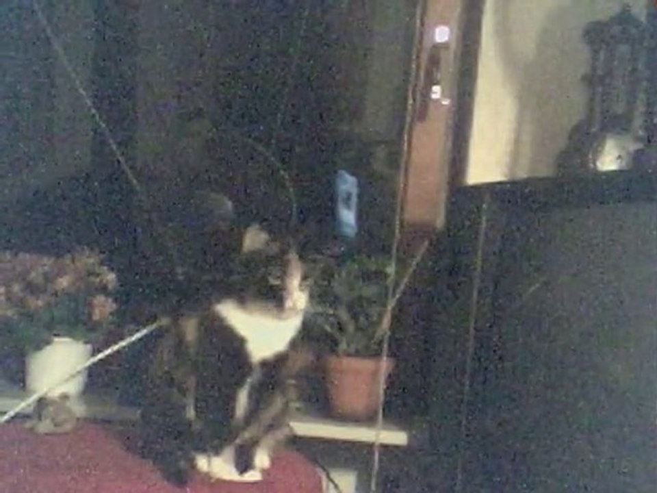 Video 6