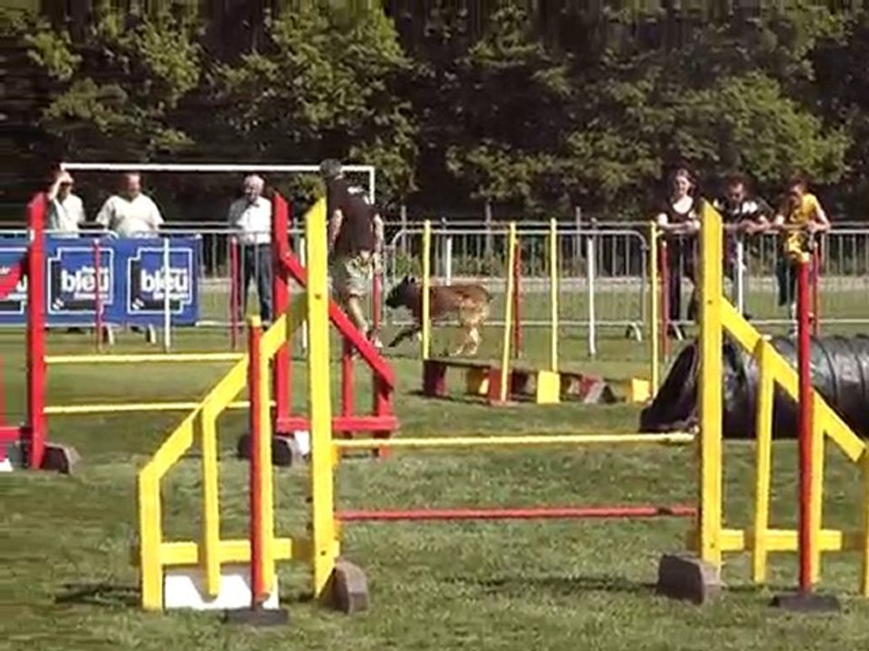 fun jump3