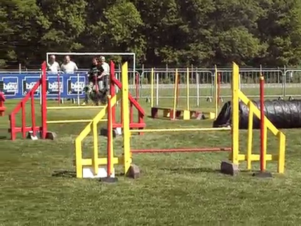 fun jump 2