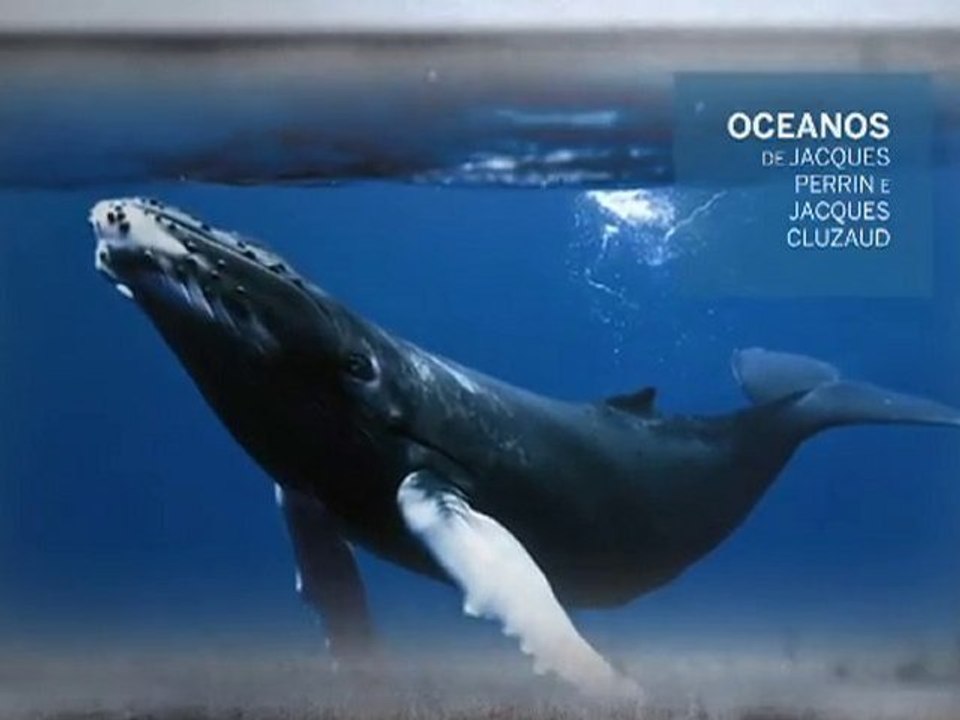 French Film Panorama in Brazil / Festival Varilux du Cinéma Français (2010) - Trailer