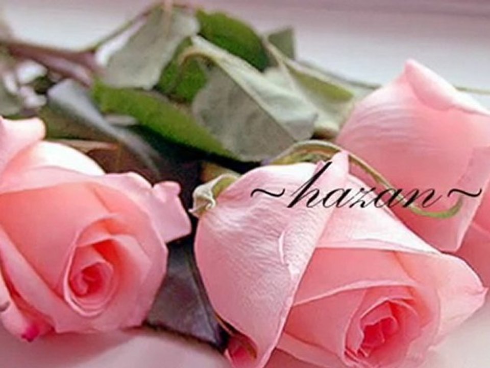 alper ---efendim
