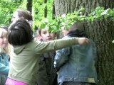 Fête de la Nature: A la découverte de l'Arbre en Brocéliande